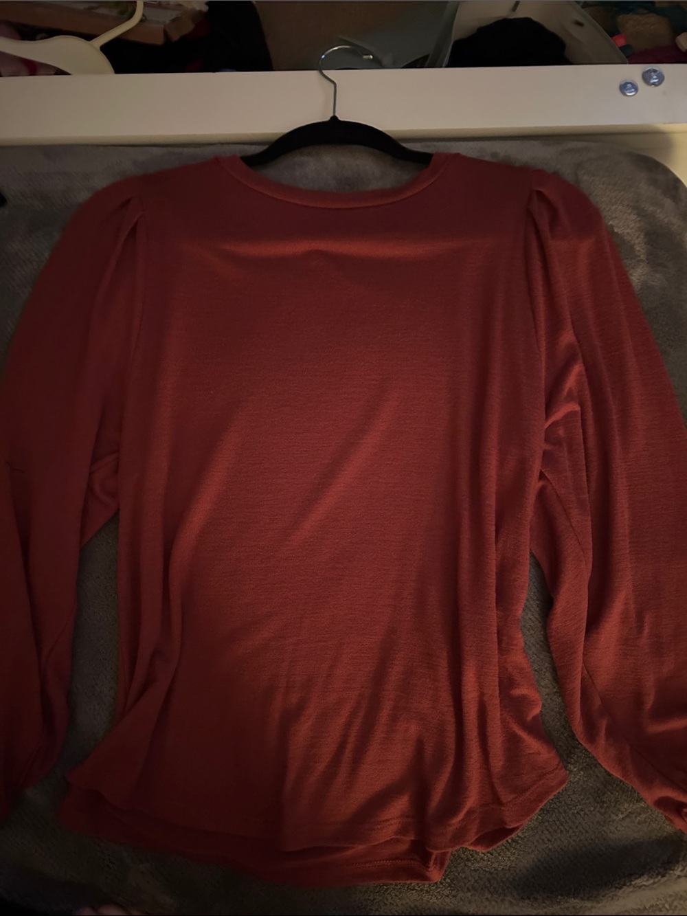 Banana Republic Rust Long-Sleeve Crewneck Top with Subtle Puff Shoulders